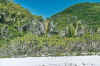 petiteanse9.jpg (76337 Byte)