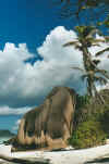 asdstrand7.jpg (41842 Byte)
