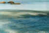 springfische.jpg (46961 Byte)