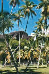 unionrock.jpg (76736 Byte)
