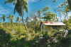 huette.jpg (72509 Byte)