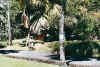 botanischergarten3.jpg (82501 Byte)