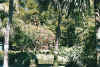 botanischergarten4.jpg (95429 Byte)