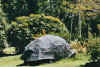 botanischergarten5.jpg (82775 Byte)