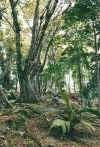 missionlodge1.jpg (89728 Byte)