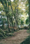 missionlodge2.jpg (79862 Byte)