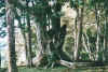 missionlodge6.jpg (79298 Byte)
