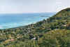 view3.jpg (56064 Byte)