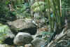 fluss.jpg (74083 Byte)