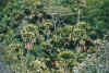 view2.jpg (76902 Byte)