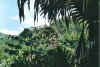 view.jpg (58411 Byte)