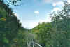 viewcurieuse.jpg (56789 Byte)