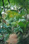 weg1.jpg (73564 Byte)