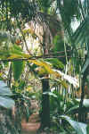 weg2.jpg (73512 Byte)
