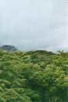 regen.jpg (41792 Byte)