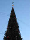 weihnachtsbaumgamlastan.JPG (26985 Byte)