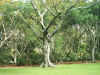 Im001314.jpg (83540 Byte)