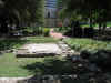 Resize of Resize of IMG_3032.JPG (108851 Byte)