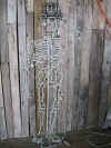 Resize of Rotation of IMG_2977.JPG (78617 Byte)