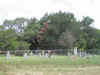 Resize of IMG_2956.JPG (78562 Byte)