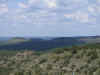 Resize of IMG_2993.JPG (49518 Byte)
