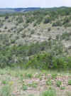 Rotation of Resize of IMG_2988.JPG (99948 Byte)