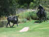Resize of IMG_2595.JPG (93813 Byte)