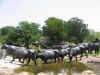 Resize of IMG_2596.JPG (78673 Byte)