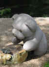 Rotation of Resize of IMG_2470.JPG (71940 Byte)
