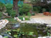 Resize of IMG_2830.JPG (97494 Byte)