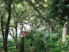 Resize of IMG_2862.JPG (128773 Byte)