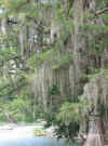 Rotation of Resize of IMG_2855.JPG (93083 Byte)