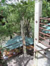 Rotation of Resize of IMG_2861.JPG (107886 Byte)