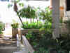 Resize of IMG_2890.JPG (81948 Byte)