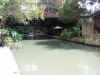 Resize of IMG_2892.JPG (71797 Byte)