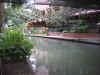 Resize of IMG_2894.JPG (80860 Byte)