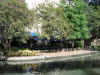 Resize of IMG_2901.JPG (114193 Byte)