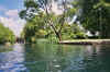 Resize of 004_1A.JPG (86432 Byte)