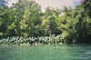 Resize of 008_5.JPG (88502 Byte)