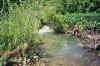 Resize of 027_24.JPG (102755 Byte)