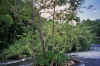 Resize of tub008_5A.JPG (90685 Byte)