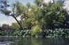 Resize of tub037_34.JPG (91791 Byte)