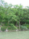 Rotation of Resize of IMG_2743.JPG (82001 Byte)