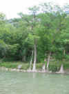 Rotation of Resize of IMG_2746.JPG (77809 Byte)
