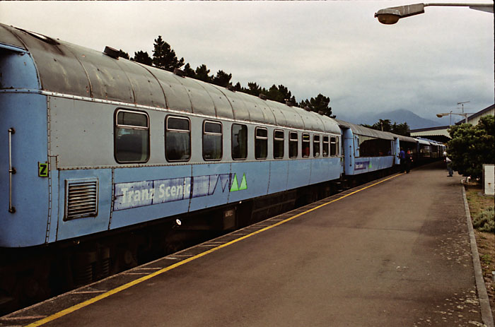 whale watching kaikoura. Whale watching in Kaikoura is