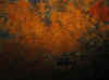 Resize of IMG_1745.JPG (70156 Byte)