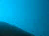 Resize of IMG_1753.JPG (23149 Byte)