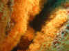 Resize of IMG_1768.JPG (93405 Byte)