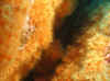 Resize of IMG_1769.JPG (100853 Byte)