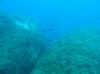Resize of IMG_1778.JPG (49705 Byte)